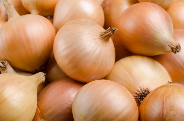 onion dark website