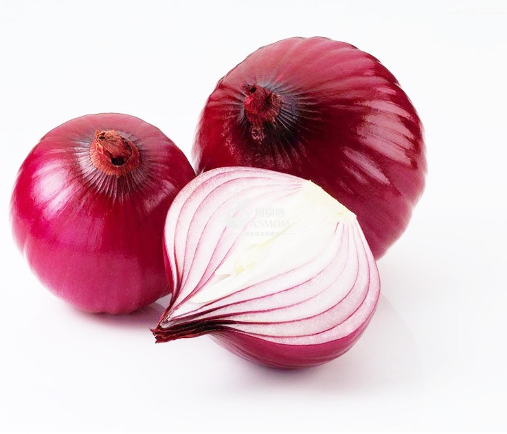 onion dark website
