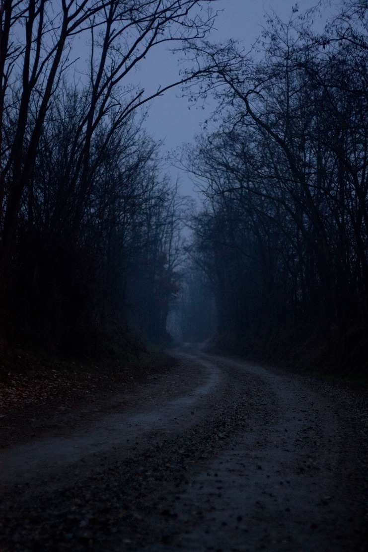 dark web search engine 2023