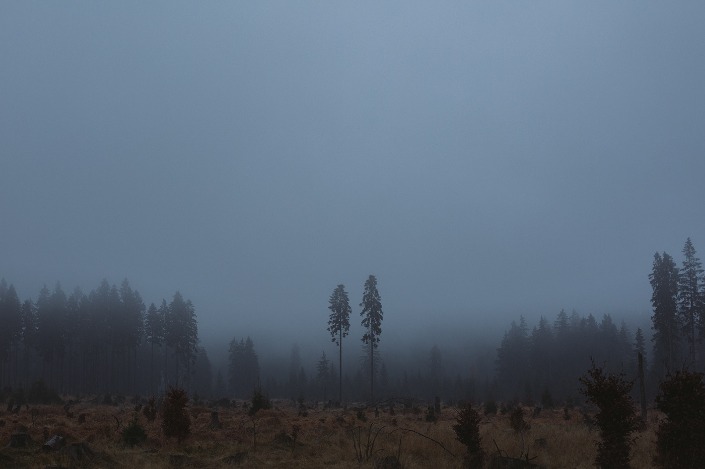 dark web markets 2023