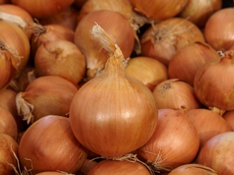onion domain and kingdom