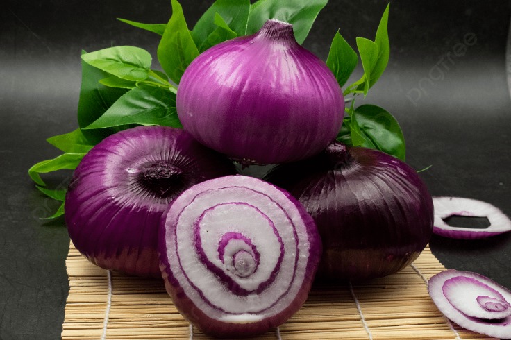 onion links sites