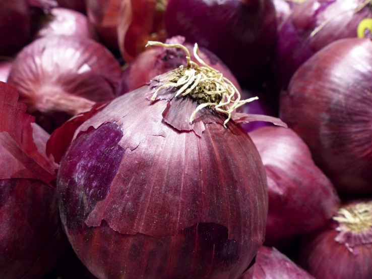 onion link