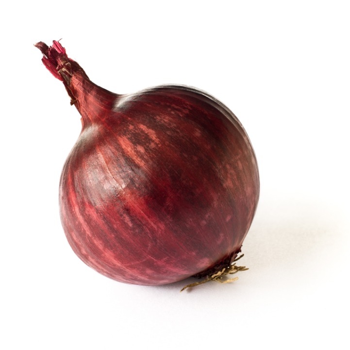 onion link search engine