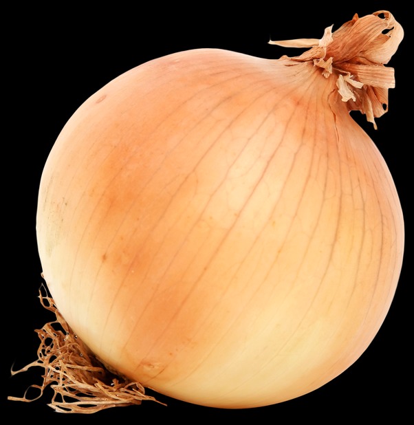 onion link search engine