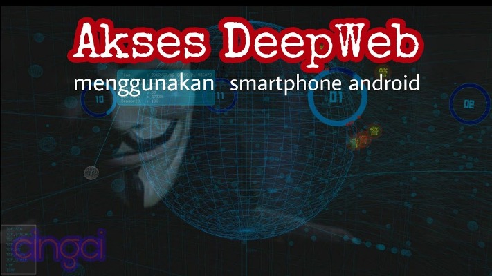 what darknet markets are up