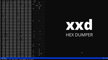 how to access the dark web safely
