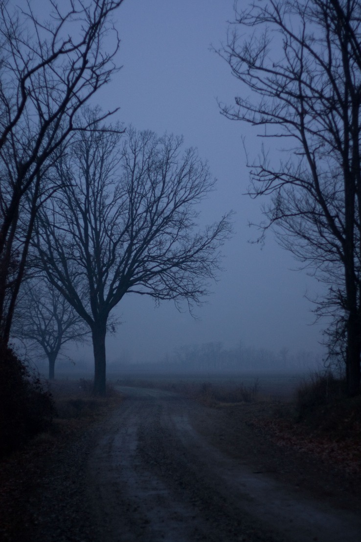 dark websites reddit