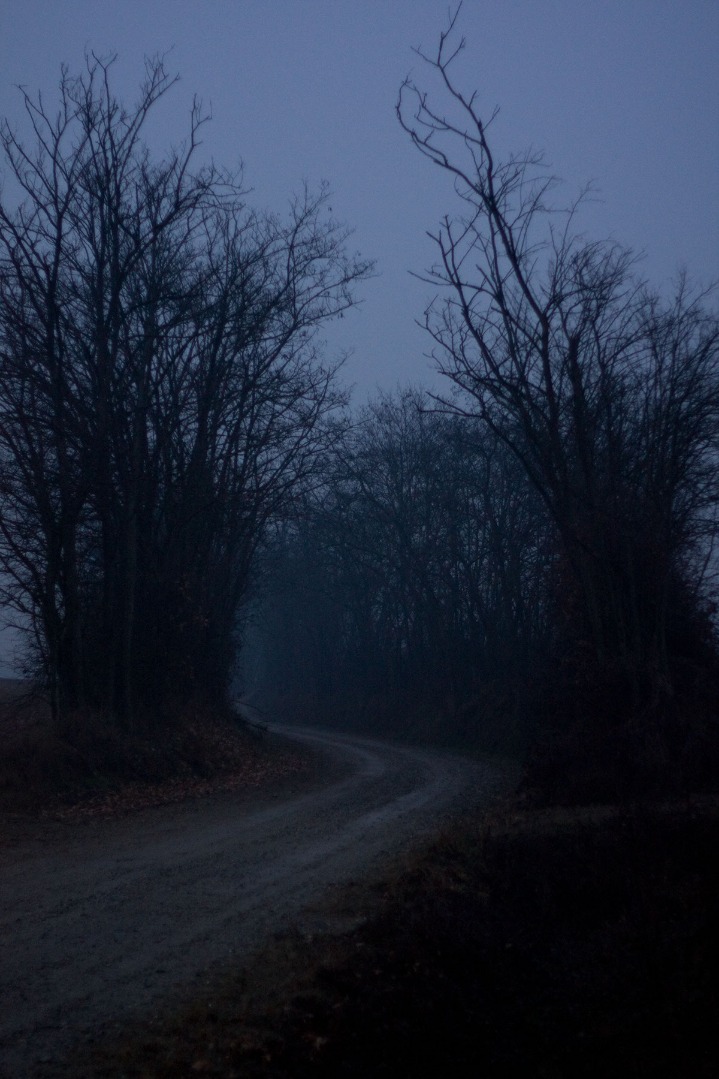 dark markets ukraine