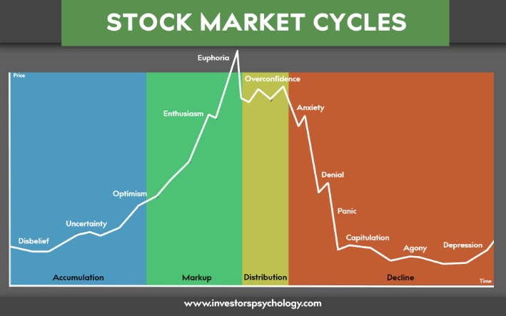 market onion