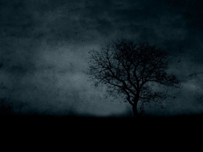 dark web markets 2025 reddit