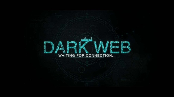 best fraud market darknet