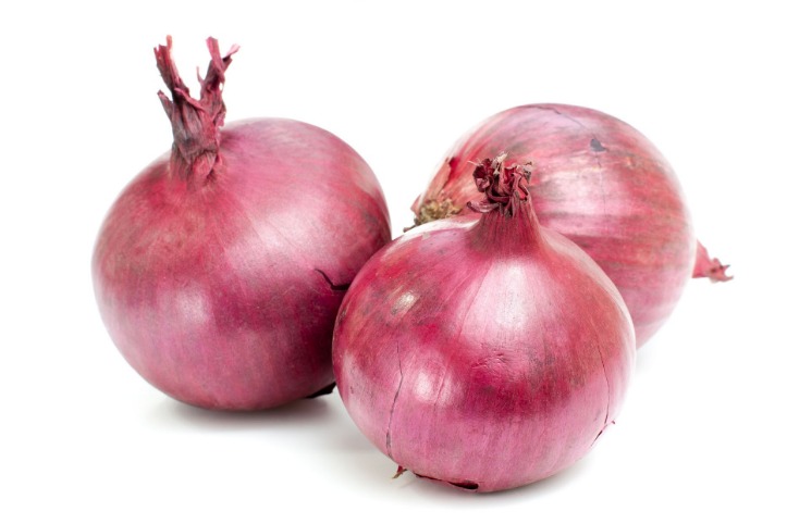 onion darknet market