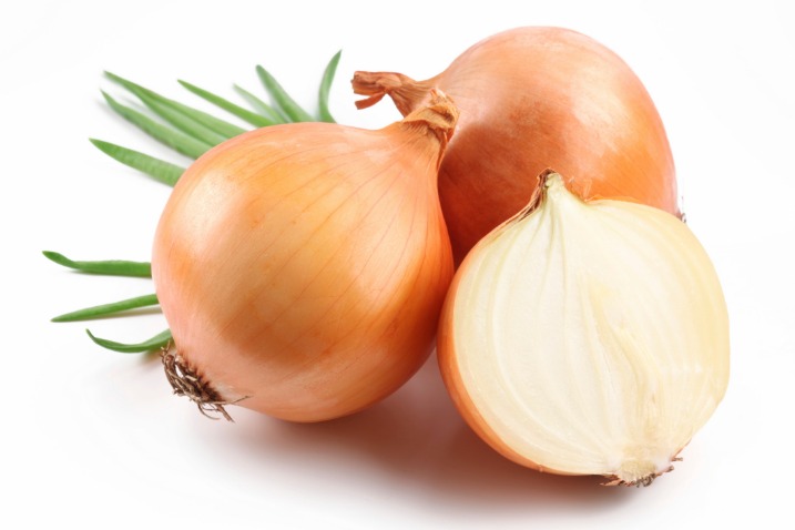 onion darknet market