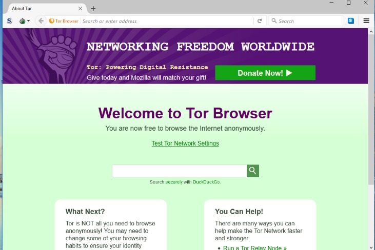 how to access the dark web 2025