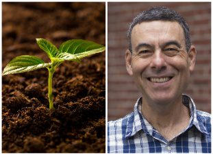 tor market links 2025