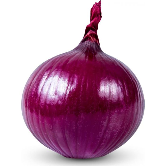 the onion directory