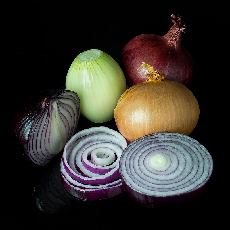 the onion directory