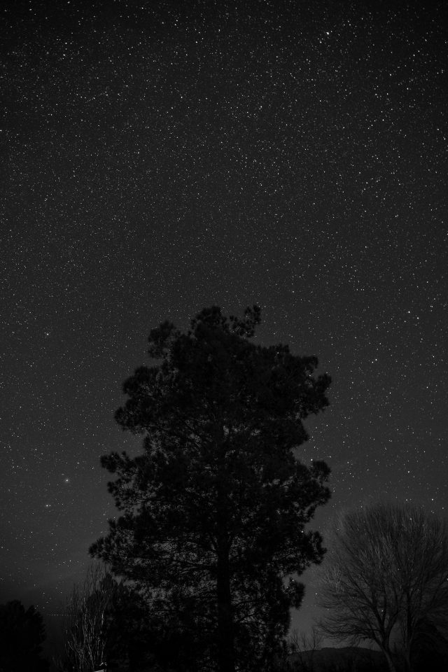 dark web links 2025 reddit