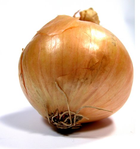 onion dark web