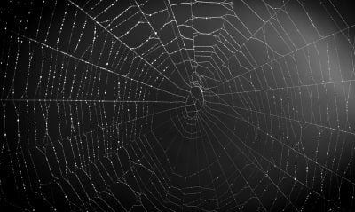 dark web sites for drugs
